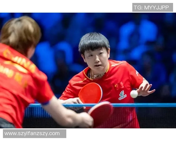 乒乓球巨献：探秘杭州乒乓球队的战术